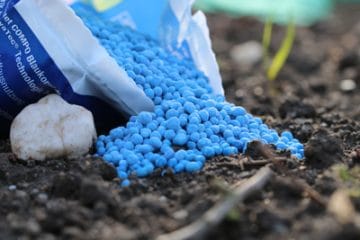 NPKDünger Zusammensetzung, Preise und Anwendung Gartenrat.de