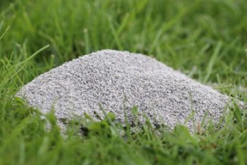 Algenkalk als Dünger Anwendung und Resultate im Garten Gartenrat.de