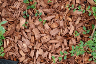 Rindenmulch