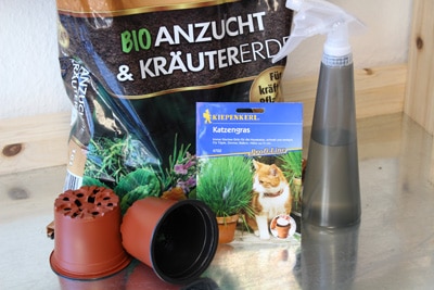 Utensilien zur Anzucht von Katzengras