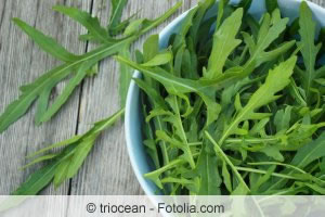 Rucola