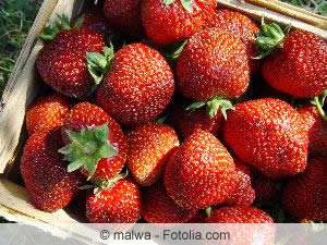 Erdbeeren