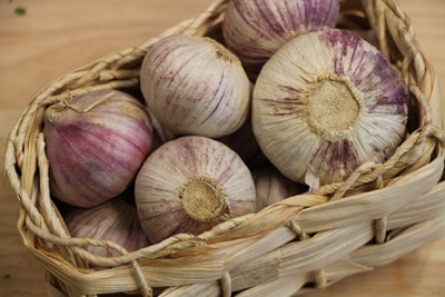 Knoblauch für Knoblauchbrühe