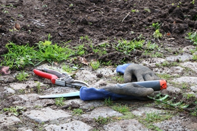 Gartenwerkzeuge zum Jäten und Harken