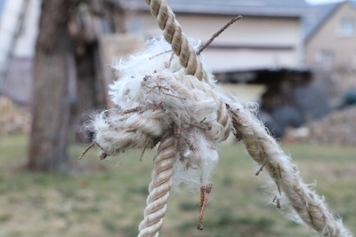 Seil, um den Baum zu ziehen