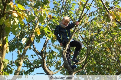 Kind klettert im Baum