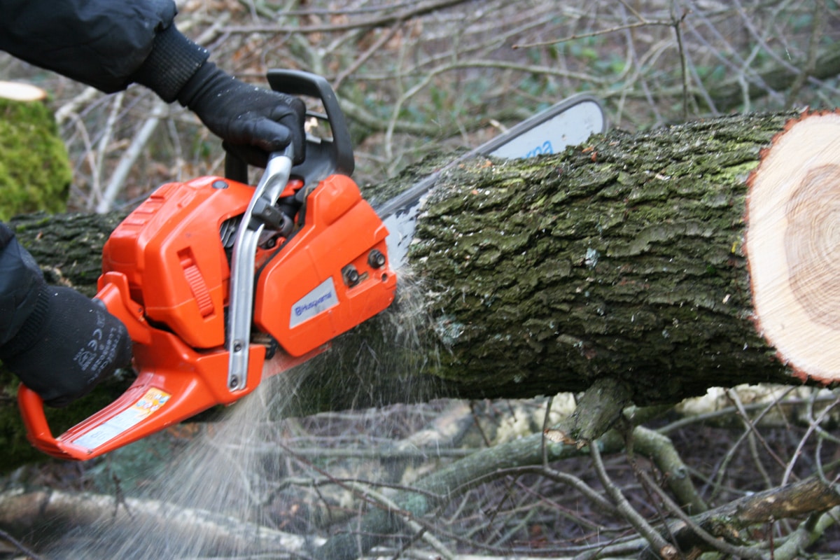 Baum schneiden mit Kettensäge