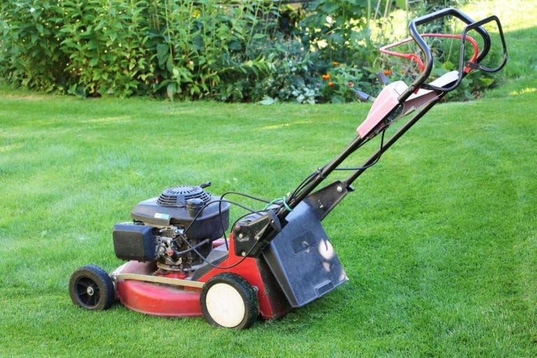 Mittagsruhe beim Rasenmähen was ist zu beachten? Gartenrat.de