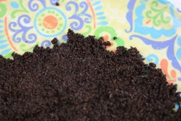 Himbeeren düngen 5 Hausmittel Kaffeesatz, Brennnesseljauche & Co