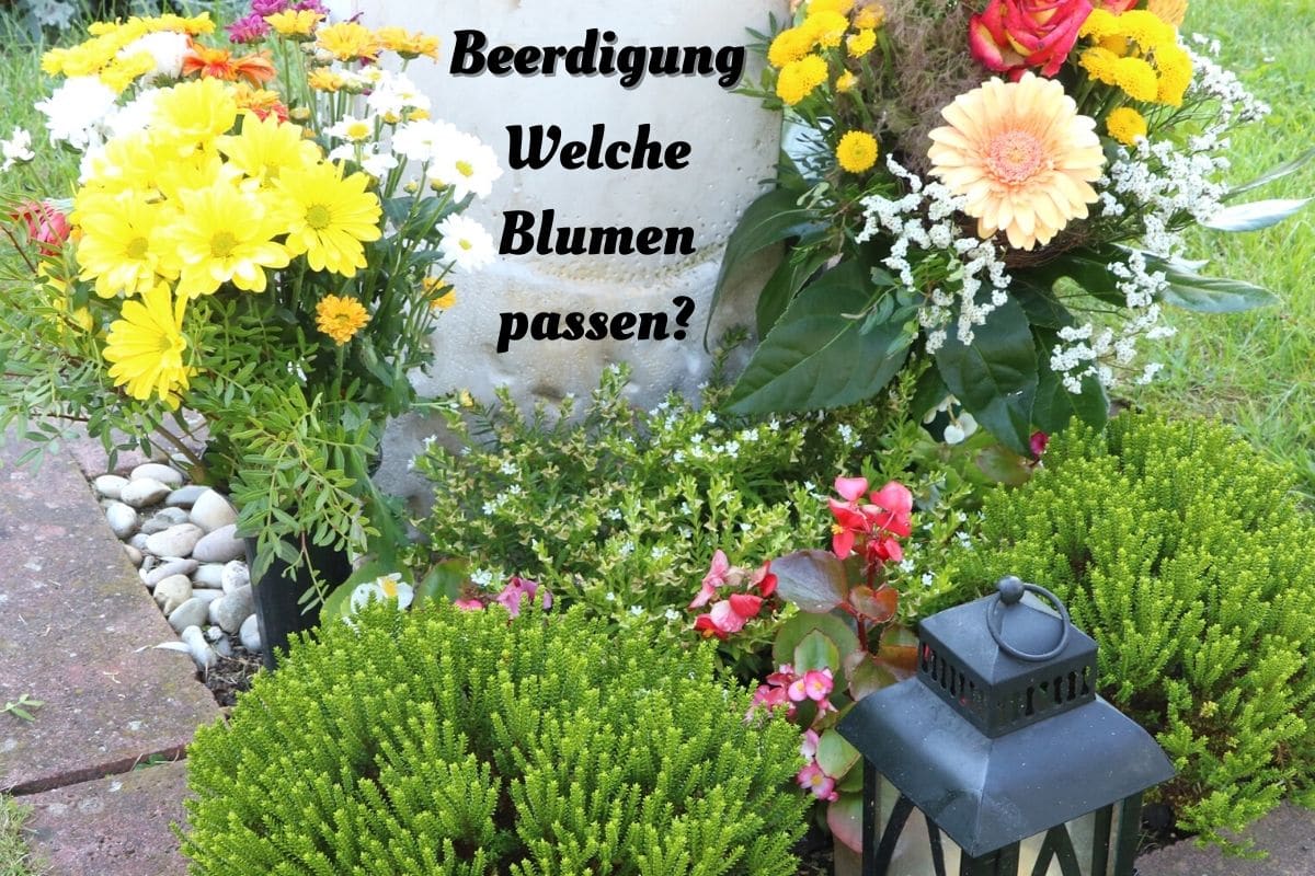 Blumen zur Beerdigung - Grabblumen