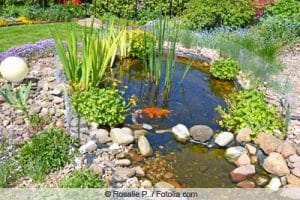 Kindersicherung am Teich Teichgitter, Teichabdeckung & Co Gartenrat.de