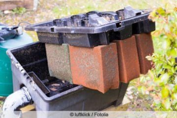 Schaum auf dem Teich was tun, wenn das Teichwasser schäumt? Gartenrat.de