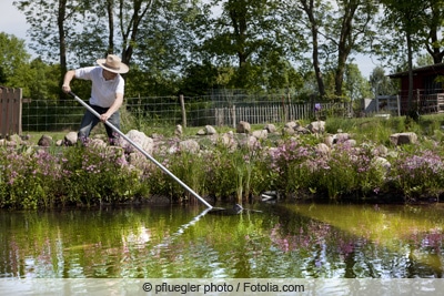 Gärtner reinigt Teich