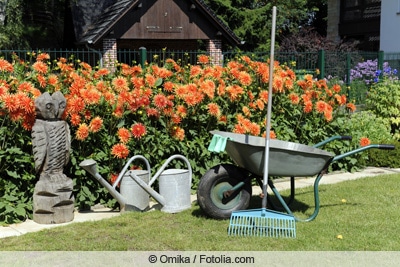 Gartenwerkzeug vor Dahlienbeet