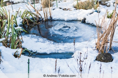 Gefrorener Gartenteich im Winter