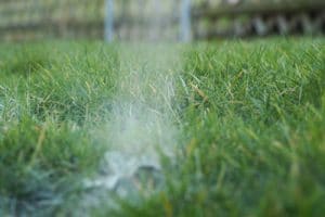 Gartenkalk ausbringen wann und wie? Anwendung von Rasenkalk