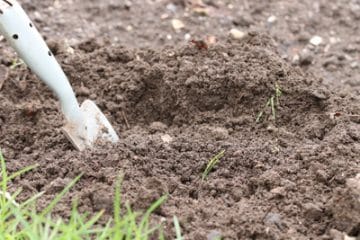 Gartenkalk ausbringen wann und wie? Anwendung von Rasenkalk