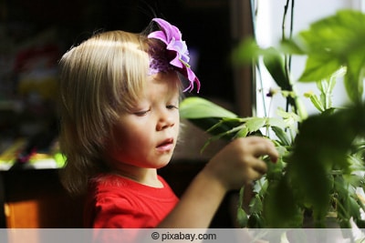 Kind spielt an Orchidee herum