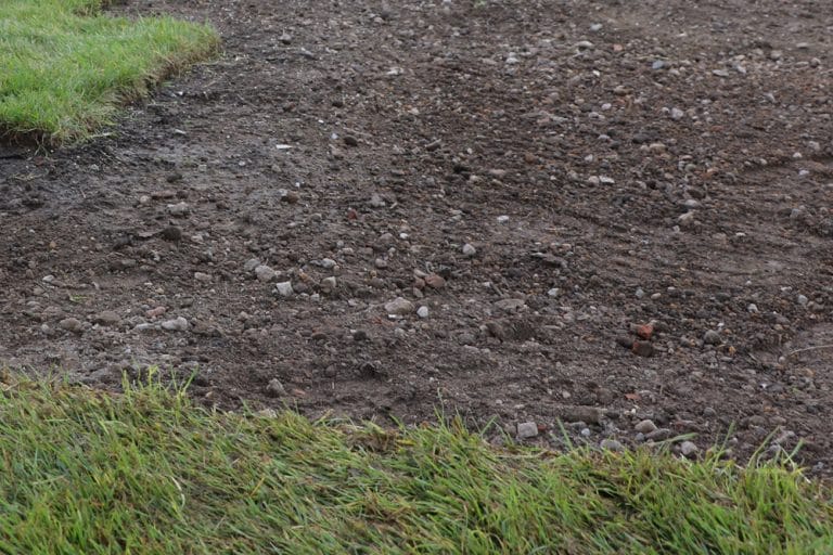 Rasen abschälen oder fräsen Vor und Nachteile der Methoden Gartenrat.de