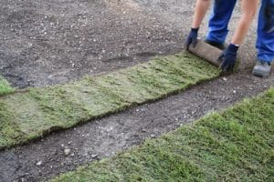 Rasen abschälen oder fräsen Vor und Nachteile der Methoden Gartenrat.de