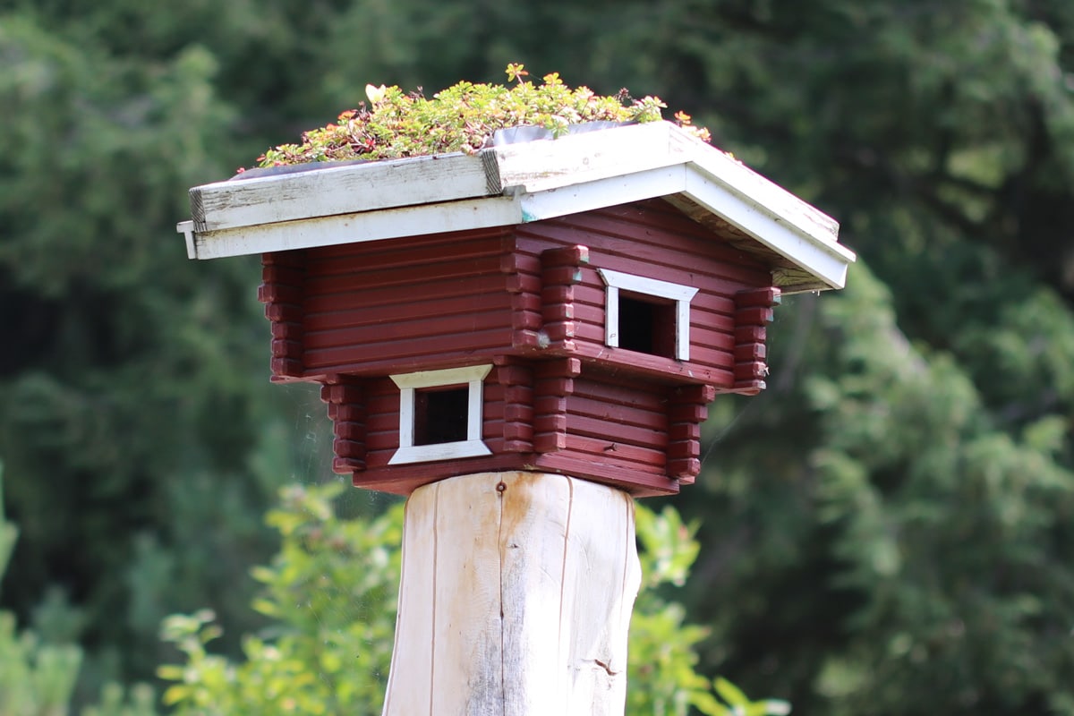 Vogelhaus als Alternative