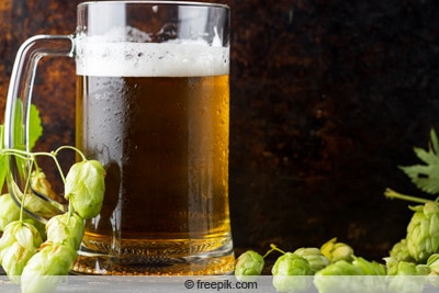 Bier in Glas mit Hopfendolden