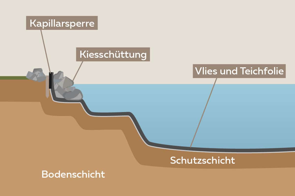 Profilansicht des Teiches