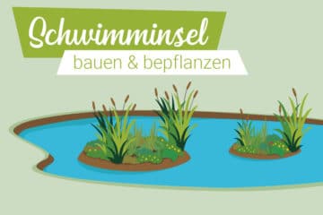 Schwimminsel für Teich bauen Teichinsel bepflanzen Gartenrat.de