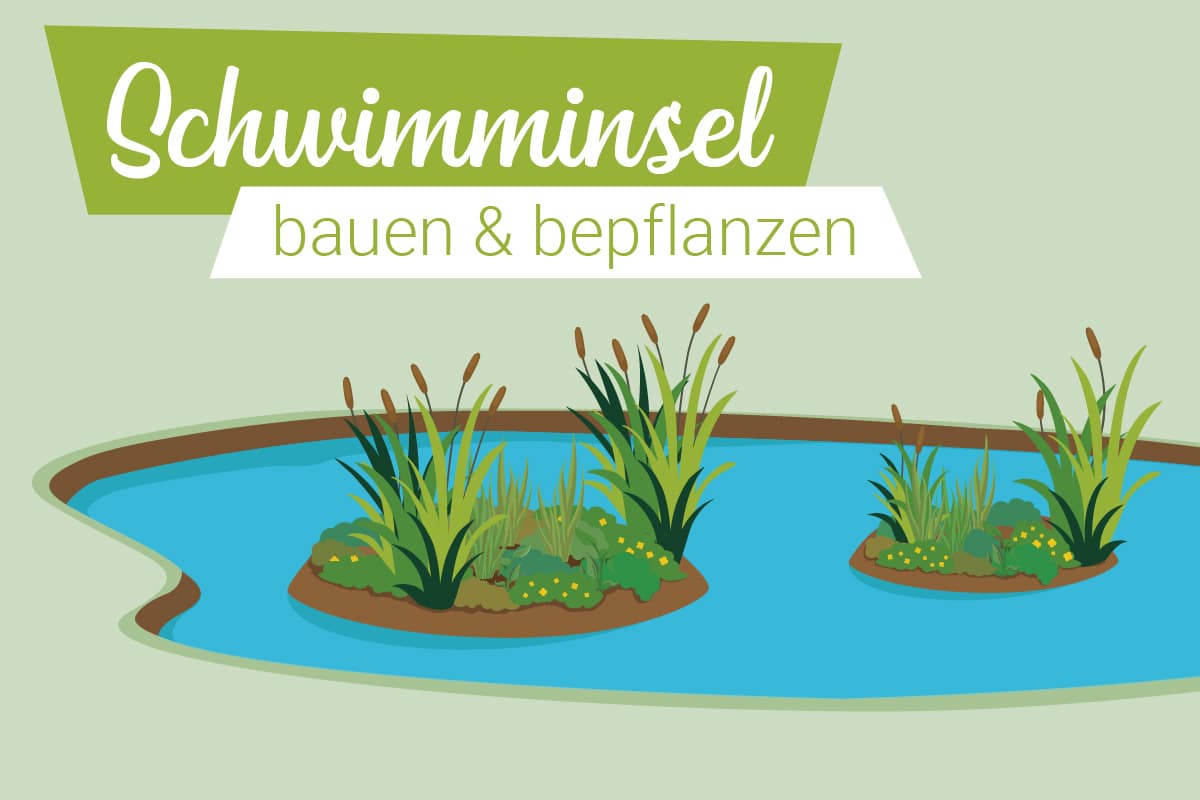 Schwimminsel bauen und bepflanzen