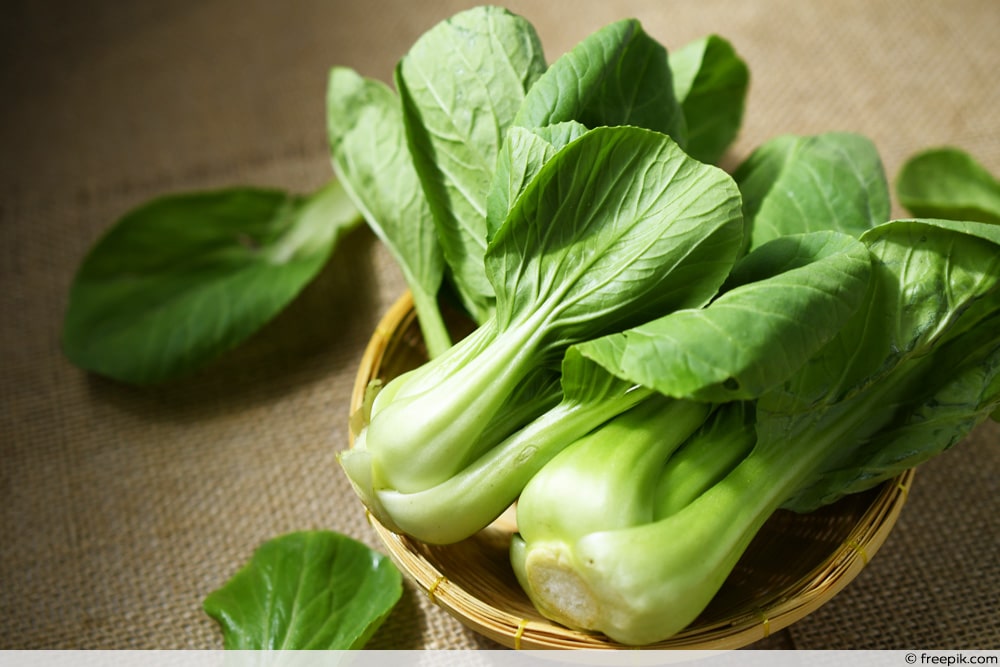 Pak Choi im Körbchen