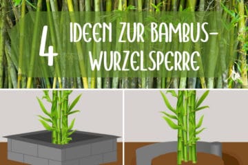 Bambussperre 4 Ideen zur Wurzelsperre für Bambus Gartenrat.de