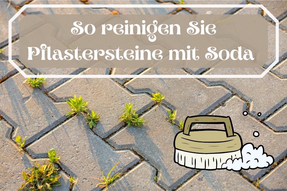 Pflastersteine mit Soda reinigen