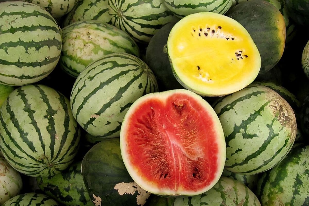 Wassermelonen, gelb und rot