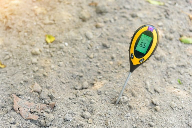 Wann keimt Rasen? So kann man es beschleunigen Gartenrat.de