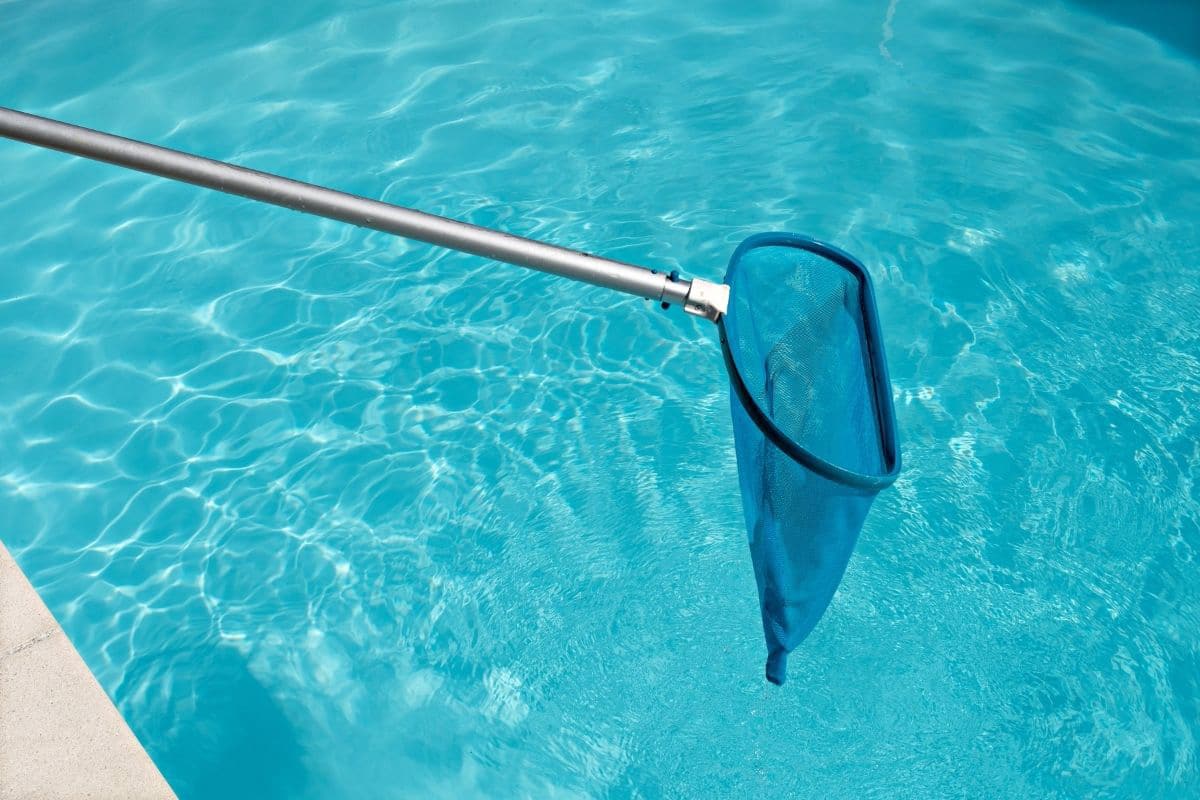 Kleine rote Würmer im Pool abfischen mit Kescher