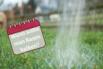 Wann sollte man den Rasen kalken? Zeitpunkt Gartenrat.de