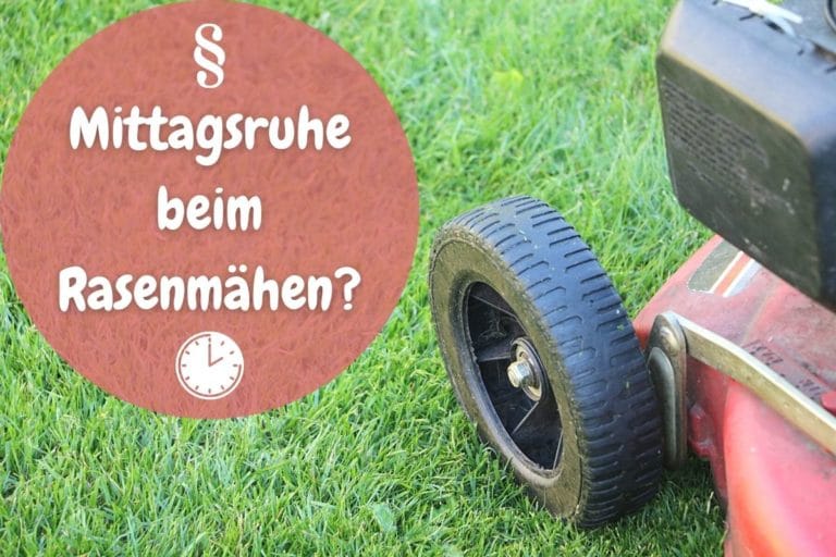Mittagsruhe beim Rasenmähen was ist zu beachten? Gartenrat.de