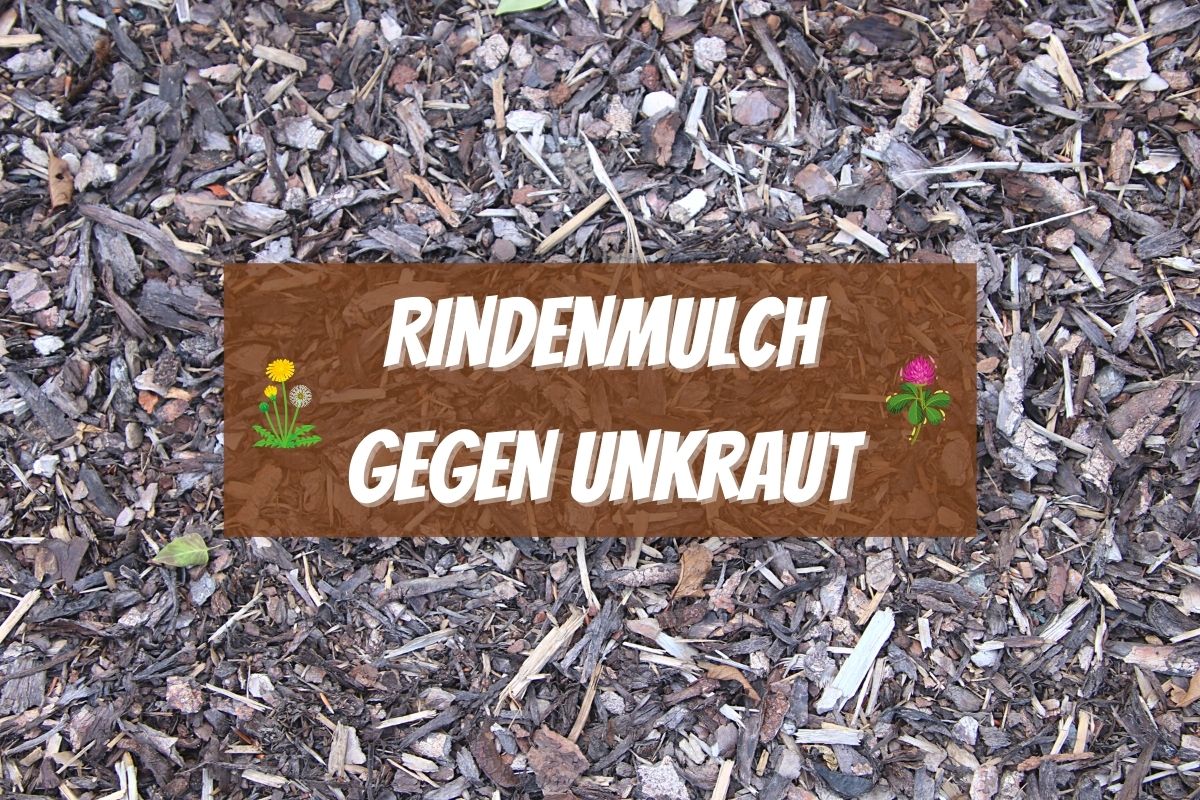 Rindenmulch gegen Unkraut