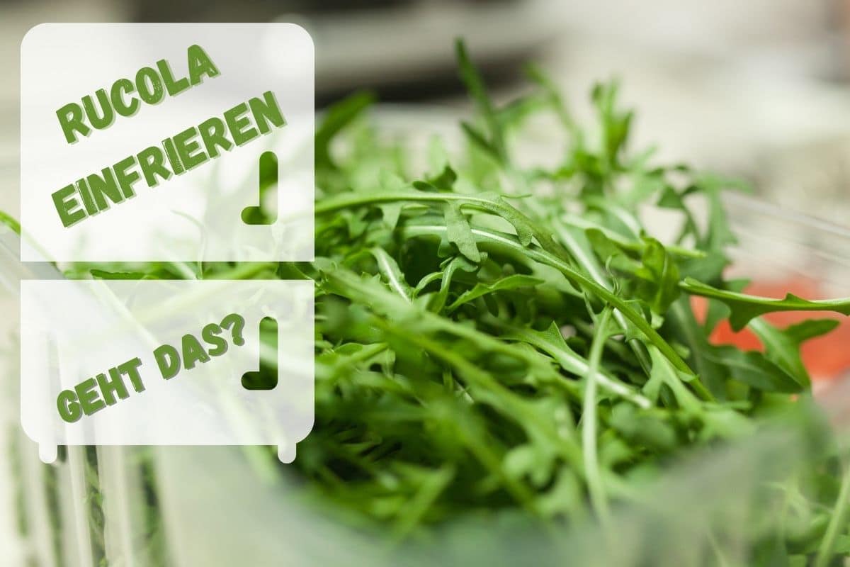 Rucola einfrieren