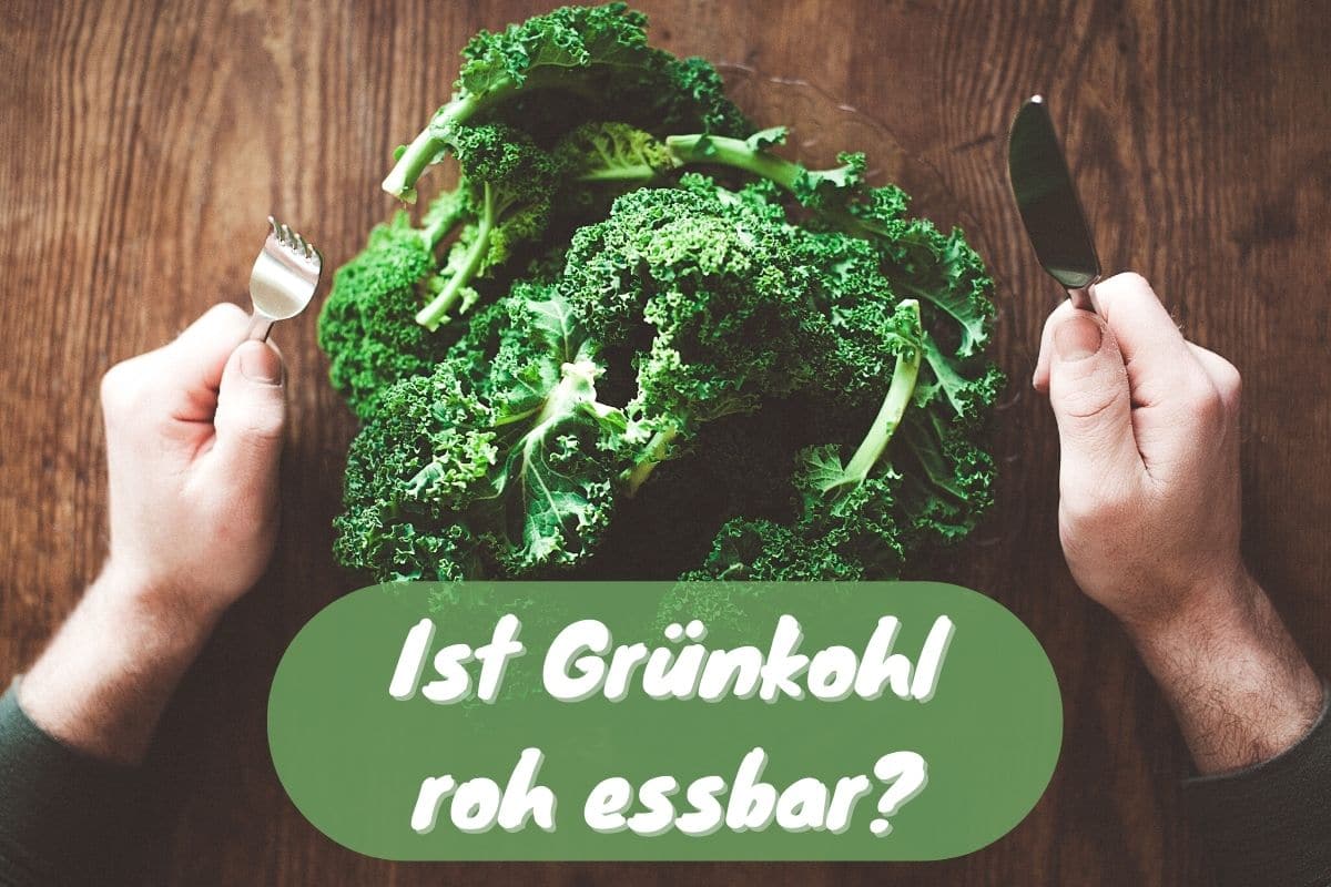 Darf man Grünkohl roh essen