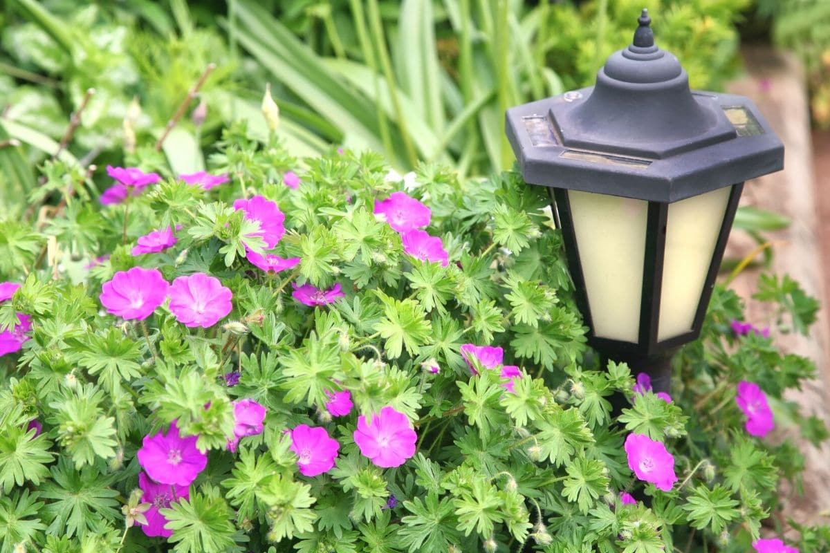 Solarleuchte im Garten