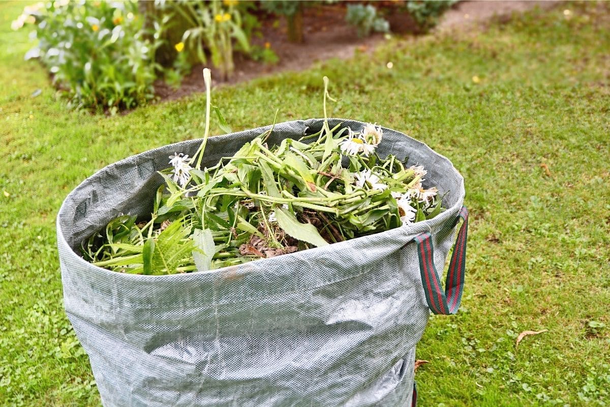 Sack mit Unkraut im Garten