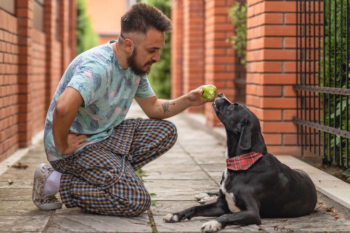 Herrchen füttert Hund mit Apfel