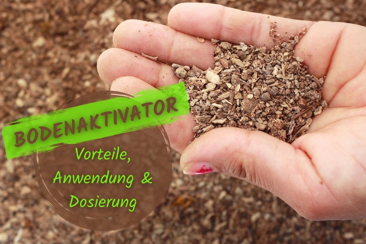 Bodenaktivator Anwendung von Rasenaktivator Gartenrat.de