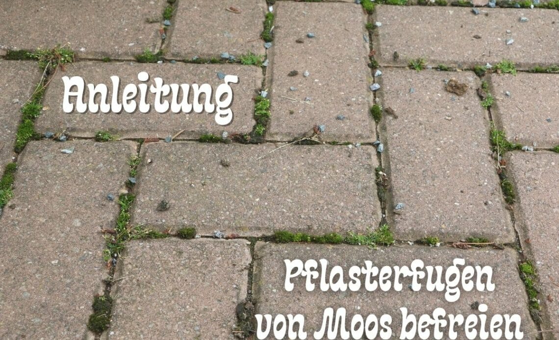 Moos aus Fugen entfernen