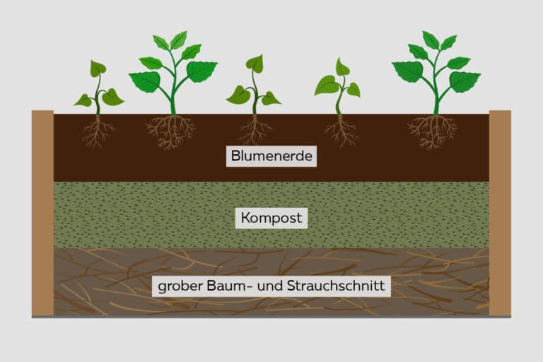 Hochbeet Aufbau Grafik für alle Schichten Gartenrat.de