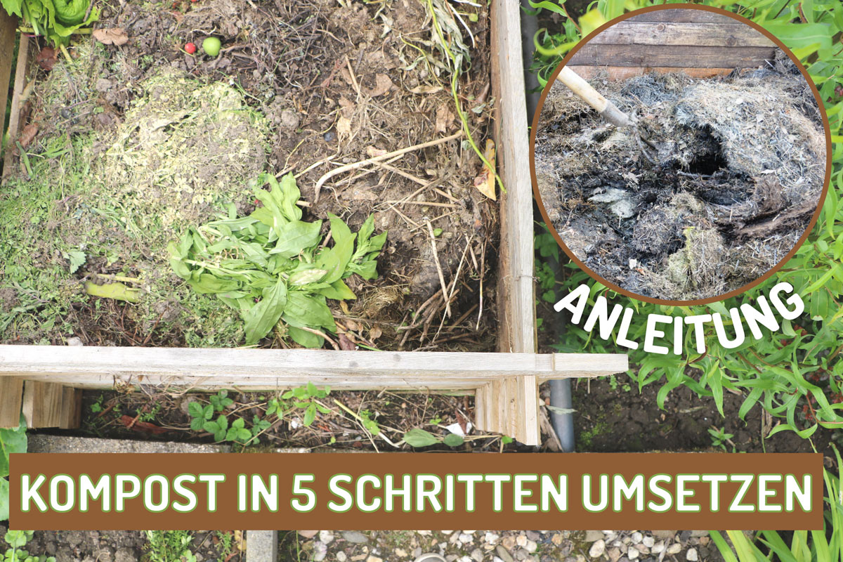How to Kompost umsetzen in 5 Schritten Gartenrat.de