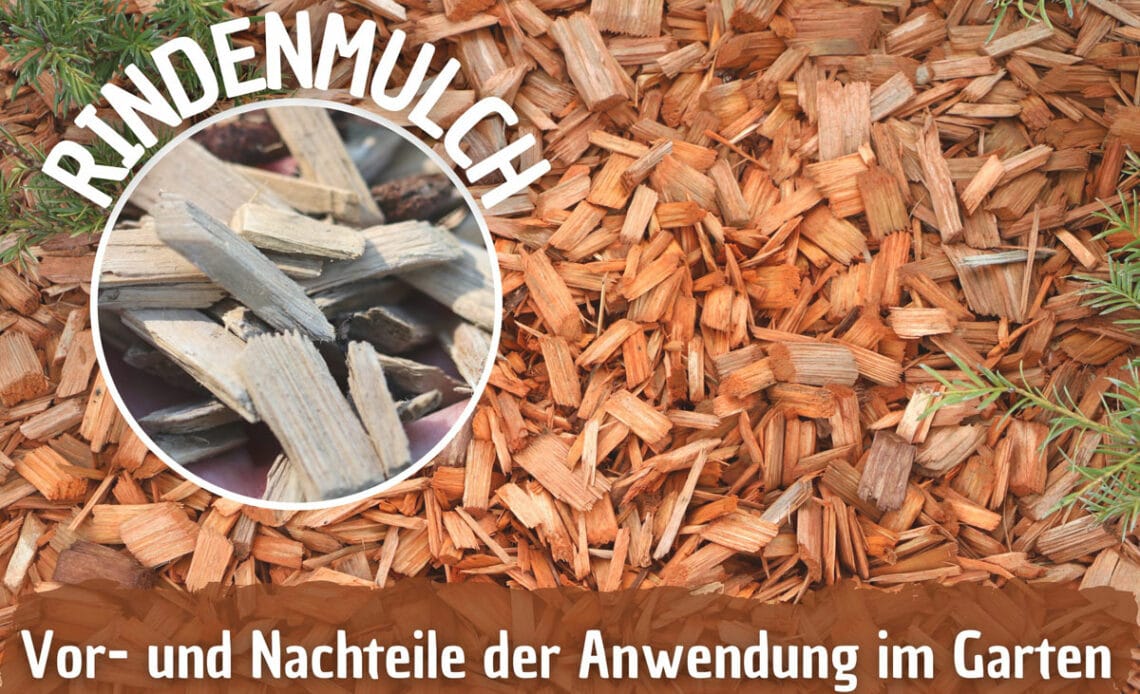 Rindenmulch - Vorteile und Nachteile