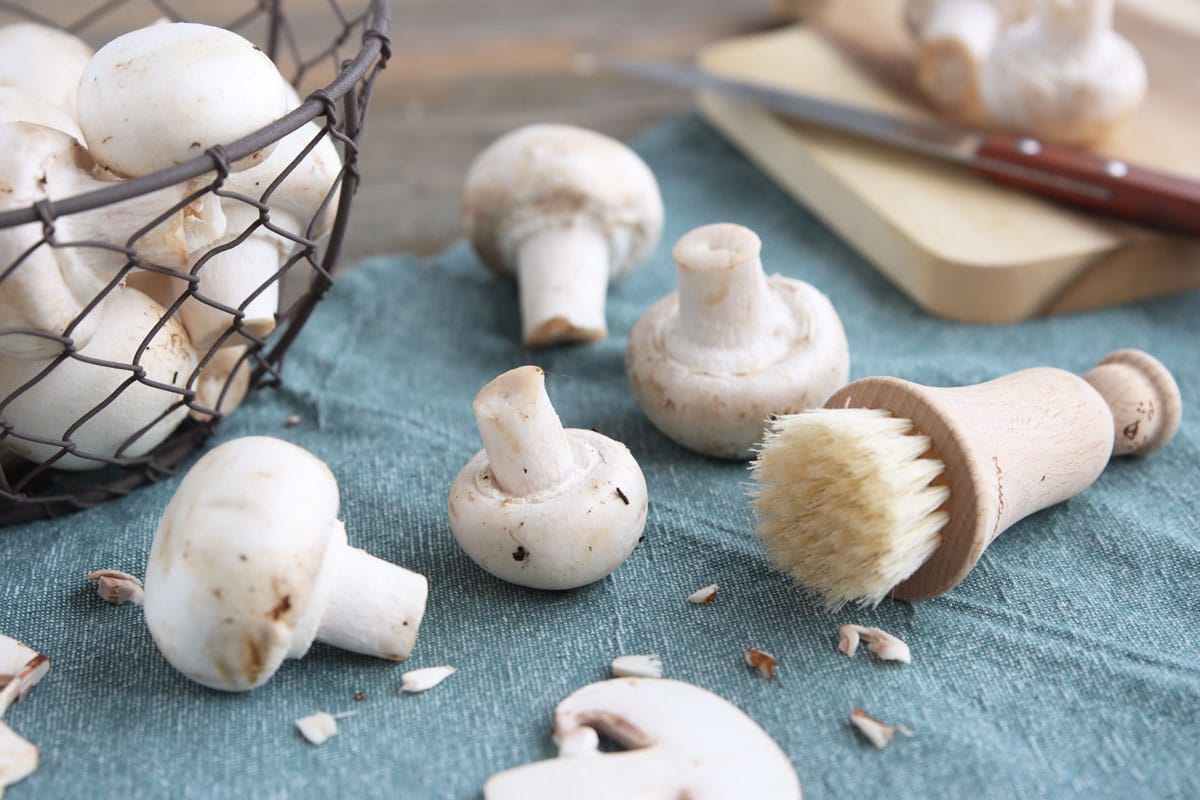 Champignons zum Trocknen vorbereiten