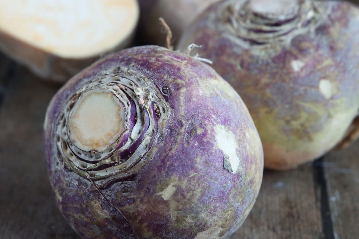 Wintergemüse im Hochbeet - Steckrübe (Brassica napus)